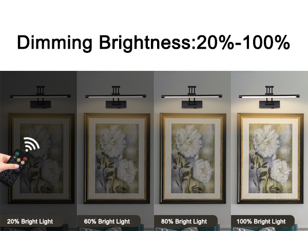 DIMMABLE PICTURE LIGHT
