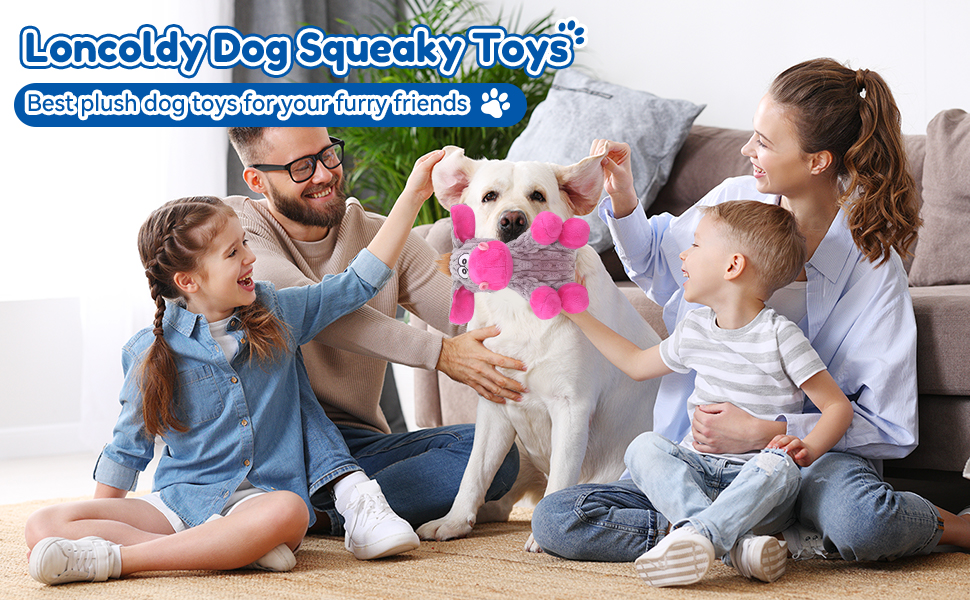 dog toys for aggressive chewers