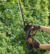 Hedge Trimmer