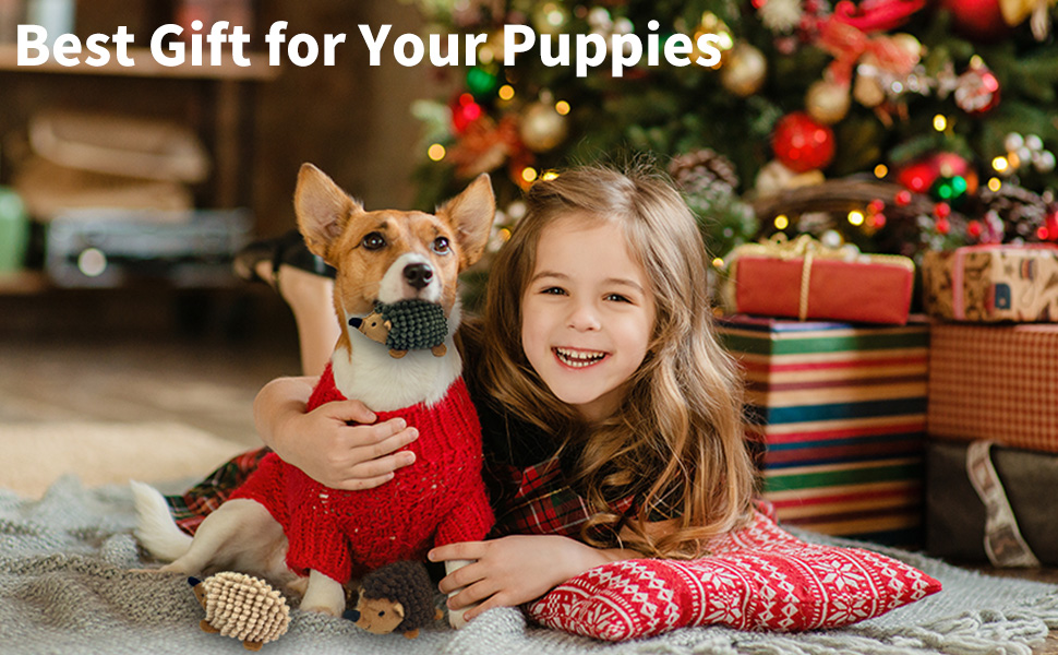 Christmas gift for puppies