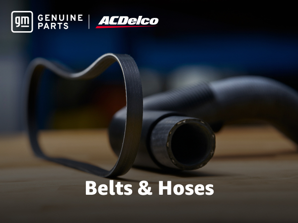 Drive belt and coolant hose