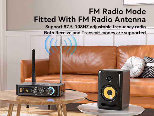FM Radio;bluetooth receiver for home stereo