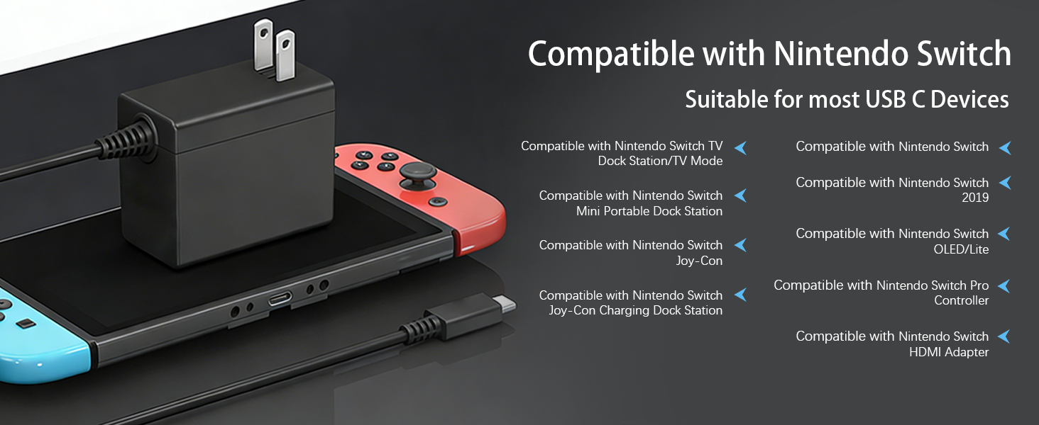 Black Fast Charger Compatible with Nintendo Switch