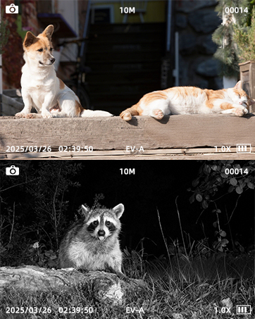 day &amp;amp; night
