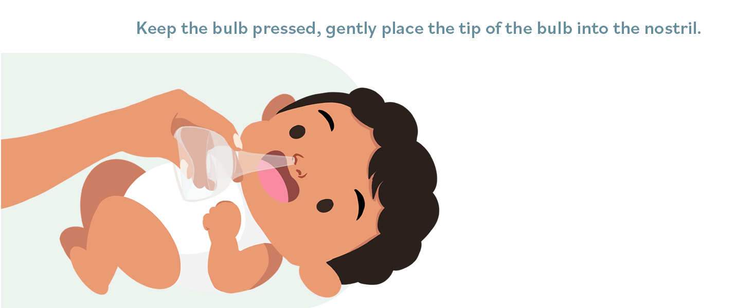Bulb Step 2