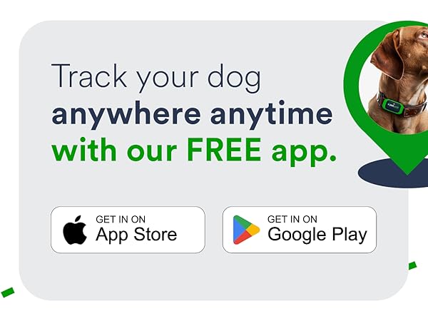 Dog GPS Tracker