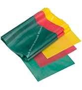 THERABAND Resistance Band Set, Professional Elastic Bands for Upper &amp; Lower Body, Core Exercise, ...