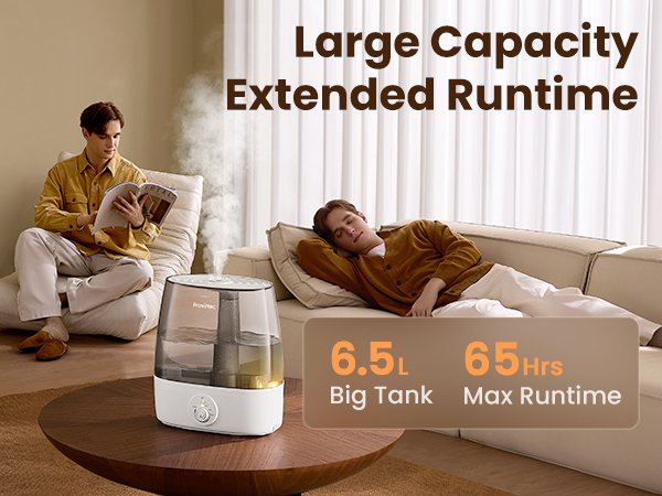 Large Room Humidifiers for Home