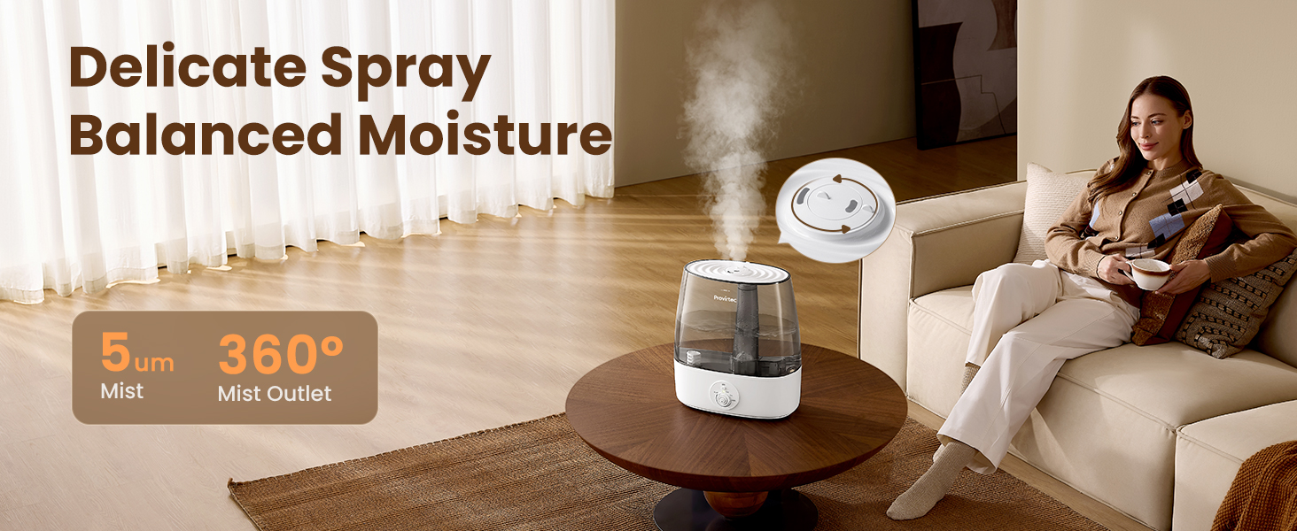 Large Humidifiers for Home
