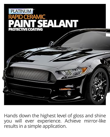 Paint Mobile
