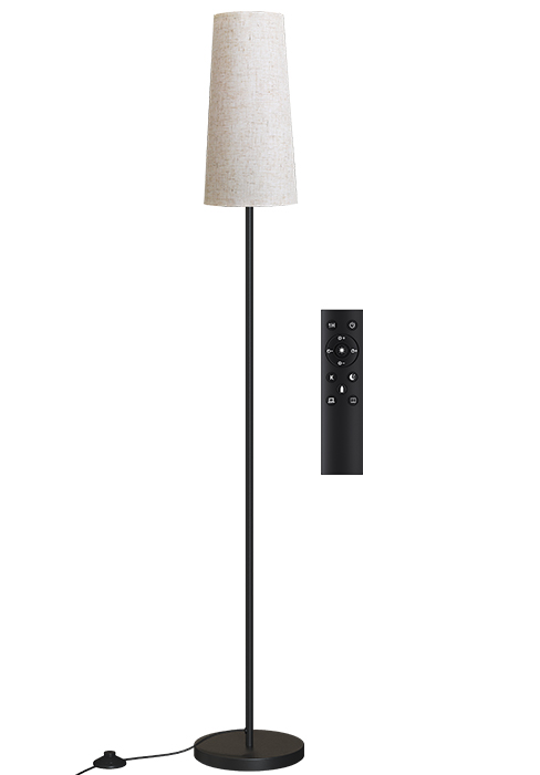 floor lamp with remote