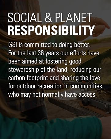GSI is committed to doing better. 