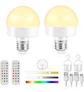 Rechargeable Battery Operated Light Bulb with Remote Control, 15 Colors Detachable LED Light Bulb...