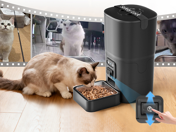 automatic cat feeder