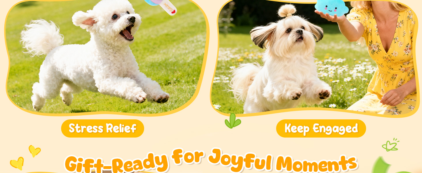 squeaky toys