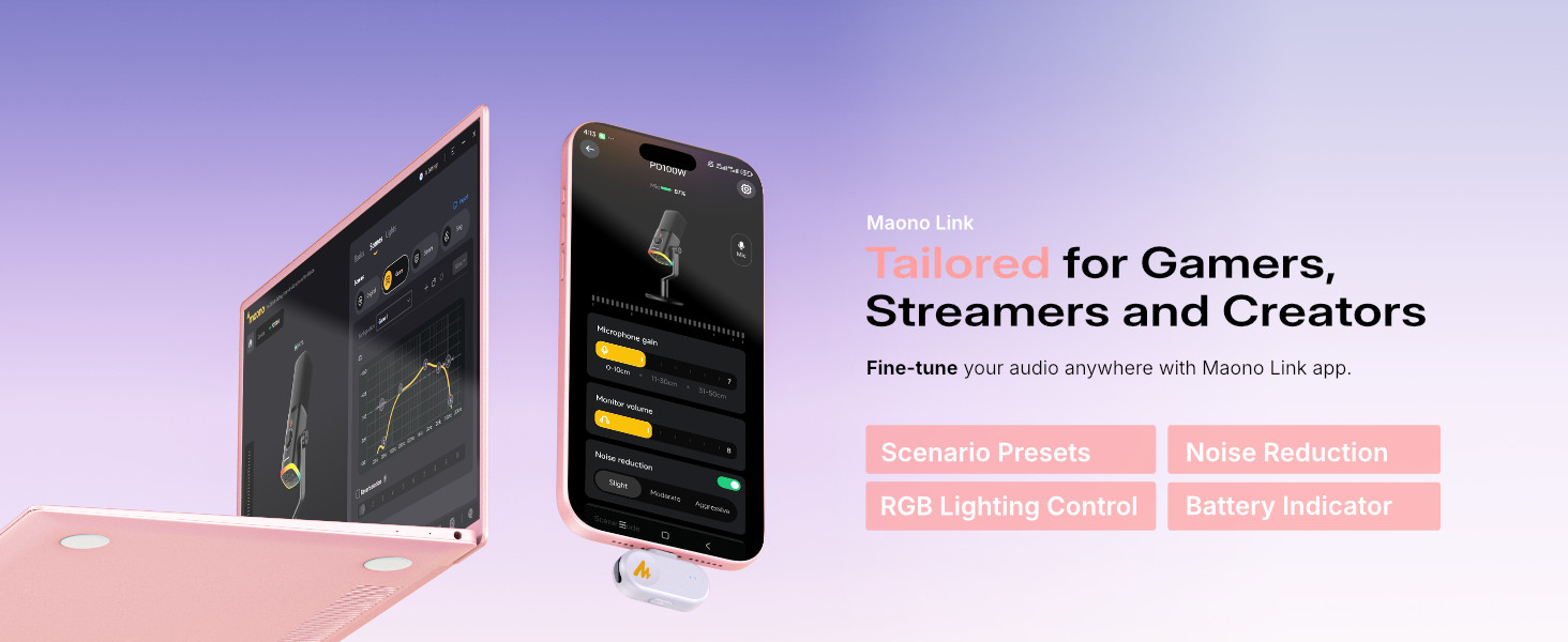 wireless usb microphone