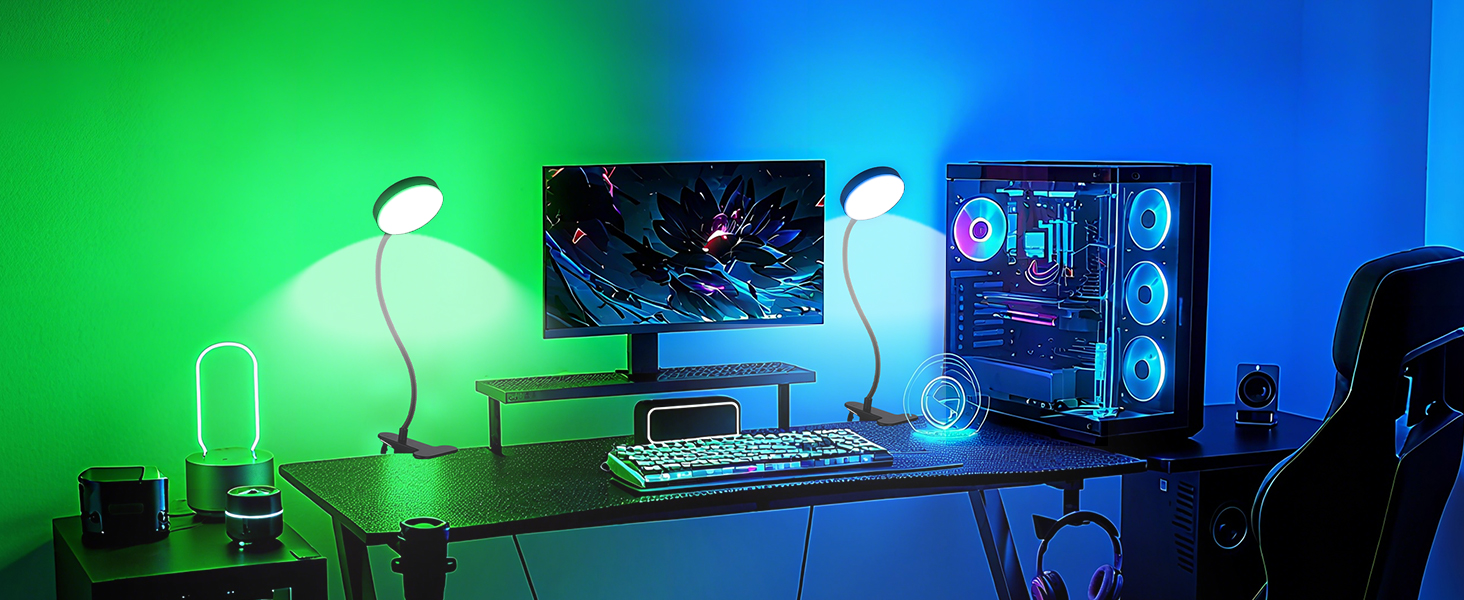 Desk Lamp