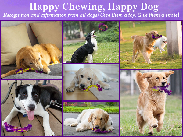 dog toys for aggressive chewers