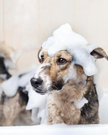 Filtered Dual Shower Heads With Handheld Spray Combo for Hard Water