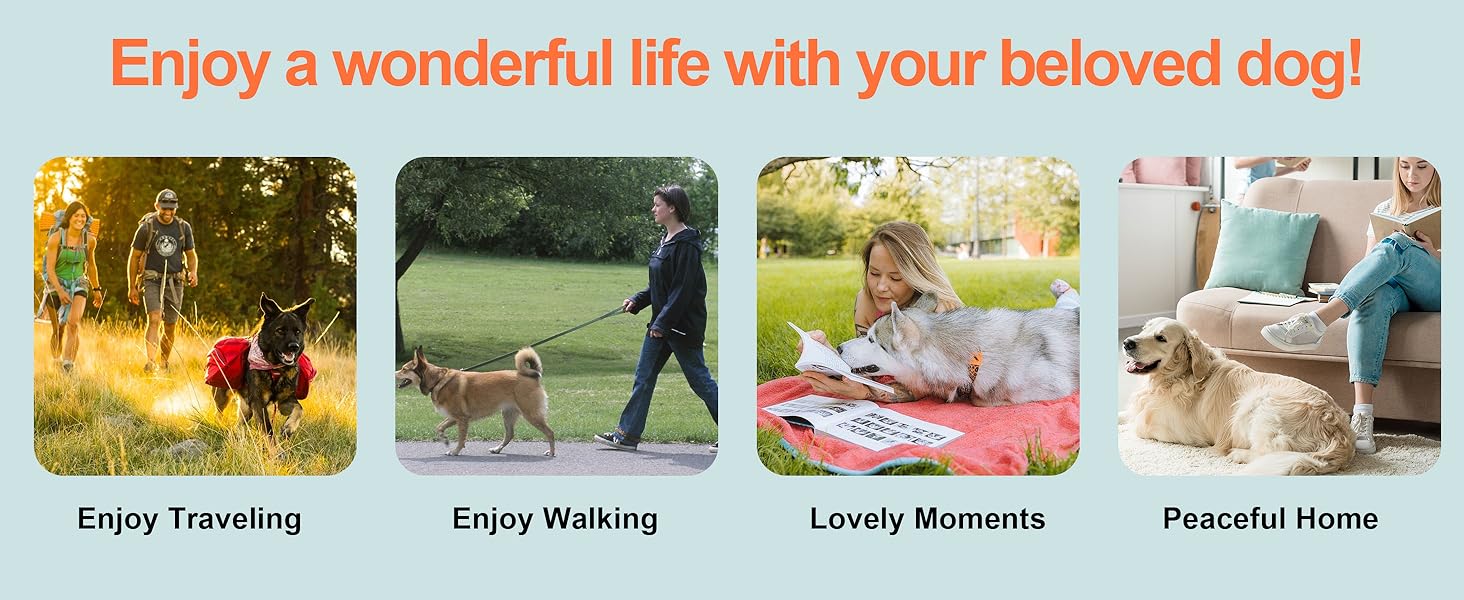 dog training collar with remote