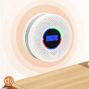 Smoke and Carbon Monoxide Detector