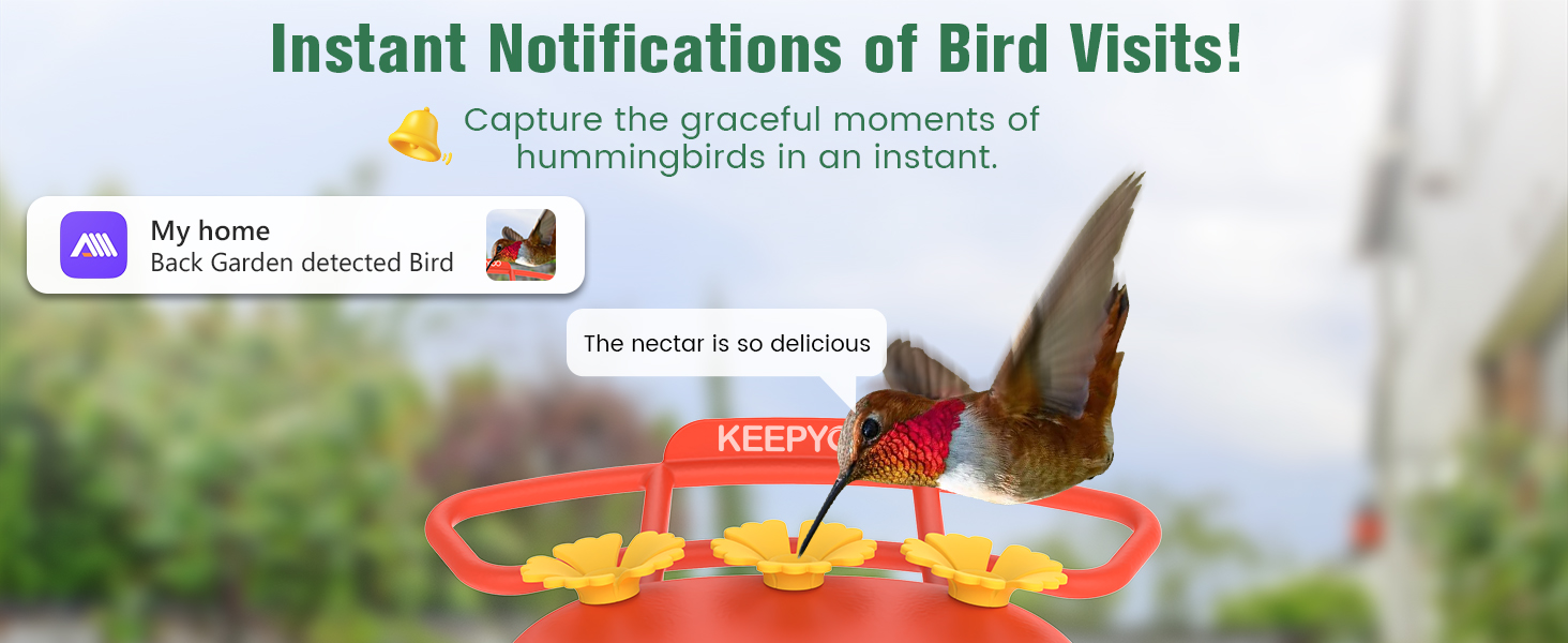 smart hummingbird feeder with camera