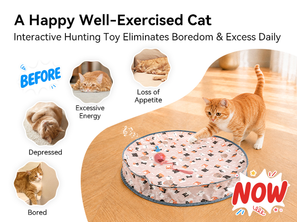 Auto smart cat ball toy