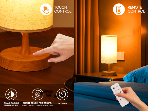 Flexible control mode- Touch control and Remote control