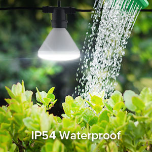 IP54 Waterproof