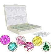 100 Microscope Slides with Specimens for Kids and Adults, Prepared Microscope Slides with Plants ...