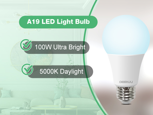 A19 LED Bulbs