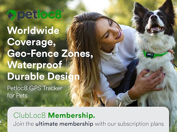 Petloc8 gps locator big pets dogs large shown on dog collar