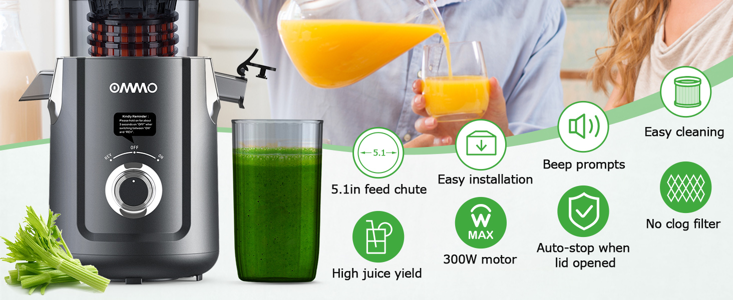 Cold Press Juicer