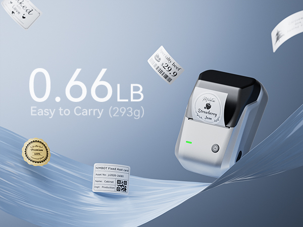 niimbot b1 label maker