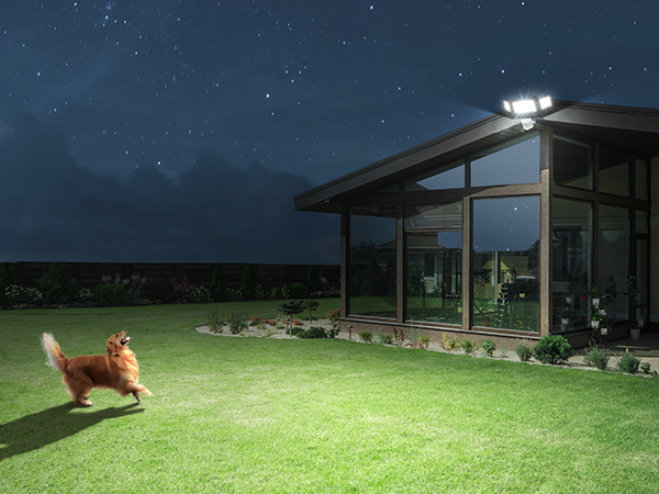 motion sensor outdoor light