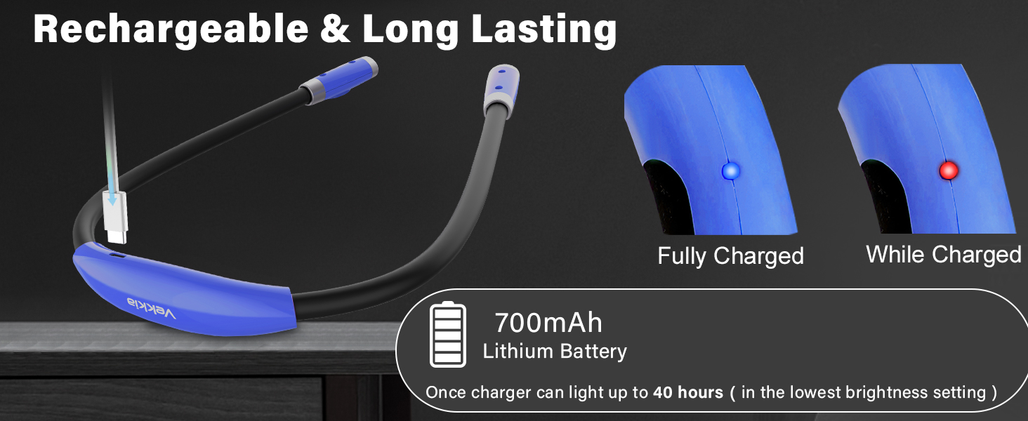 neck reading light