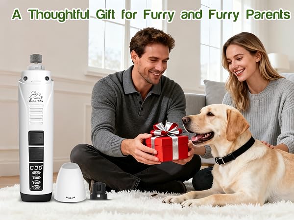 pet gift