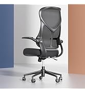 NearHub EC10 Stylish Ergonomic High Back Mesh Reclining Office Chair with Adjustable Flip-Up Armr...