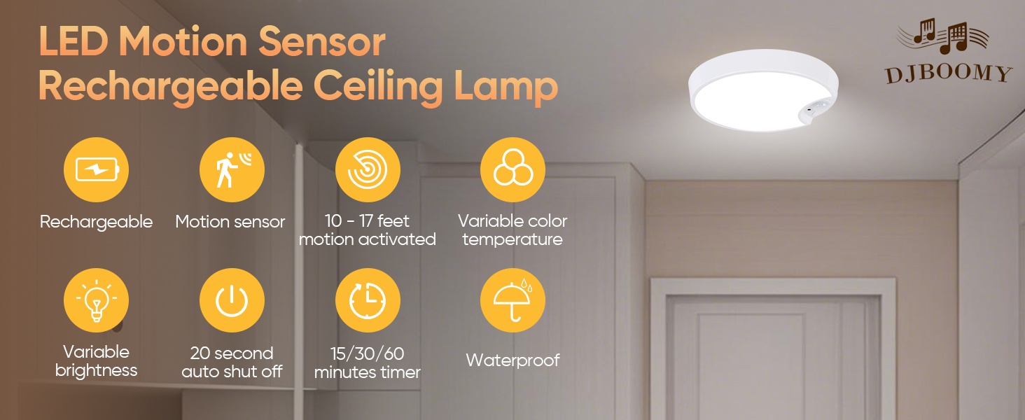 Ceiling light