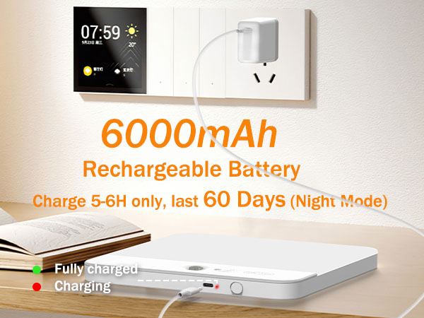 6000mAh Rechargeable Battery