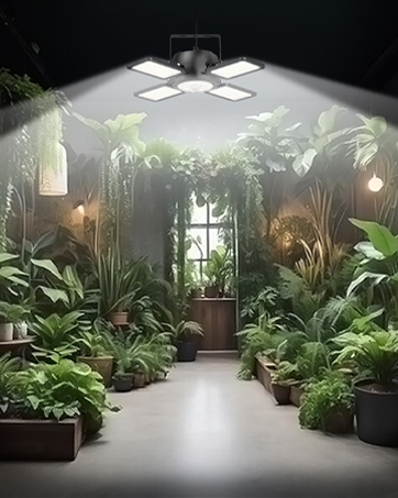 solar shed lights with remote control