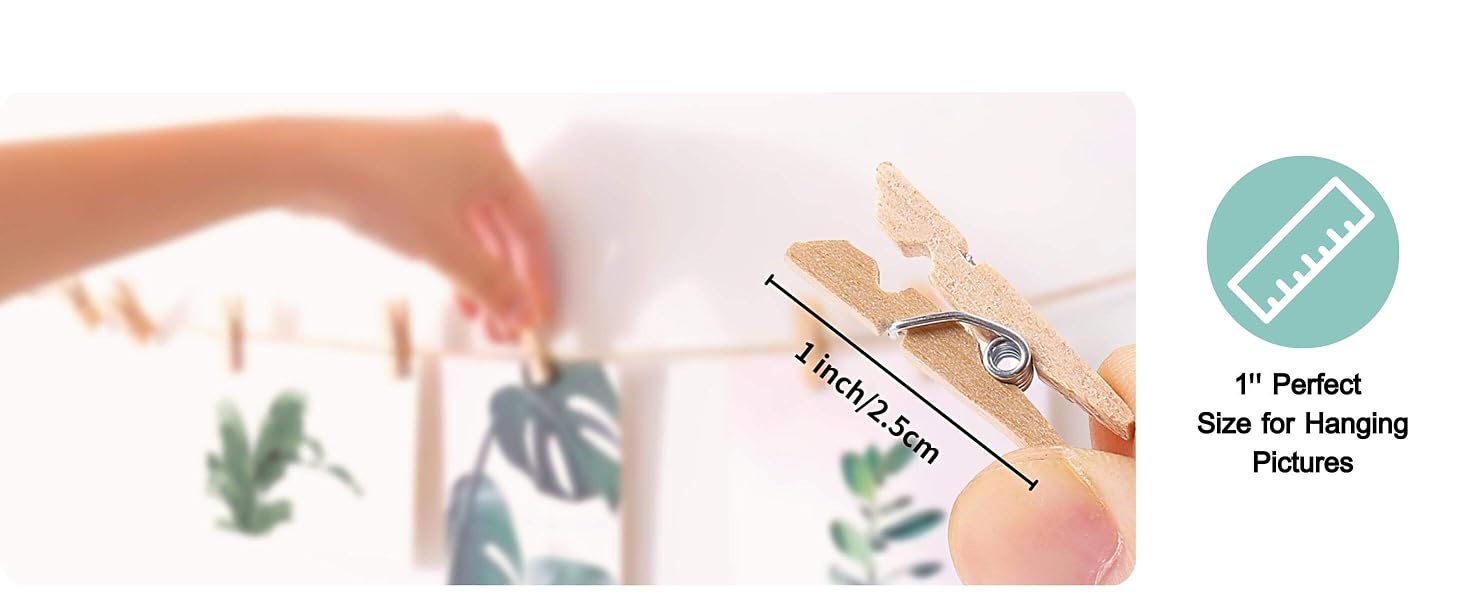 1 Inch Perfect size mini wooden clothespins