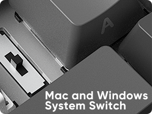 mac win system