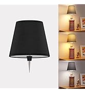 Eclipterra Cordless LED Bottle Lamp 5000mAh Battery Portable Wireless Table Lamp Wine Bottle Lamp...