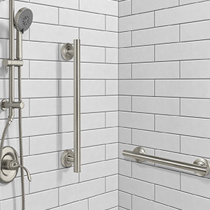 shower system handle