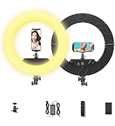 Bzyltrux 18" 55W Ring Light, High Brightness, No Bracket, Linkable on Wall-Mounted Triangular Arm...