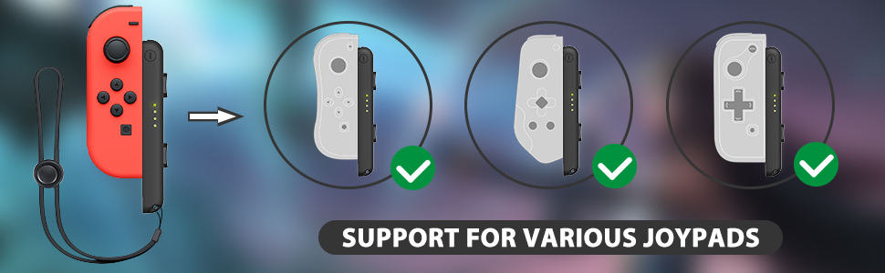Switch Strap