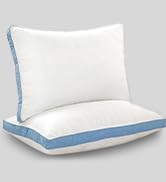 Pillows 2 Pack