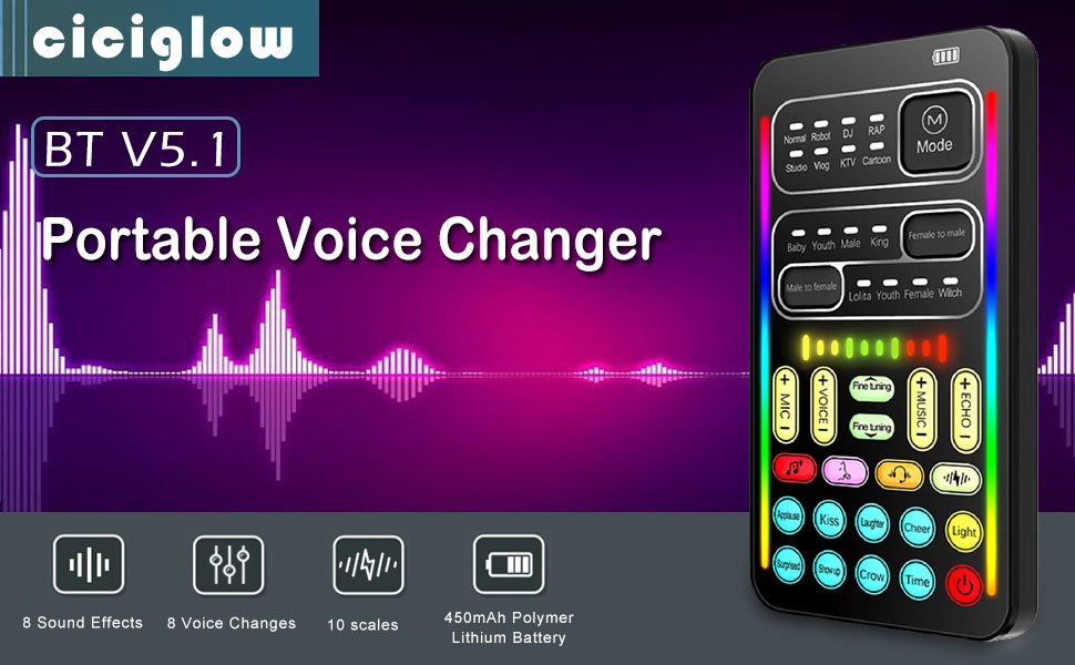 Handheld Voice Changer