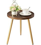 danpinera Round Side Table, Metal Legged Accent Table with Wooden Tray, Small Round End Table for...